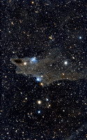 LDN 1235 the Dark Shark Nebula