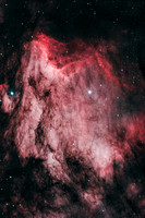 The Pelican Nebula