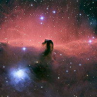 Horsehead Nebula