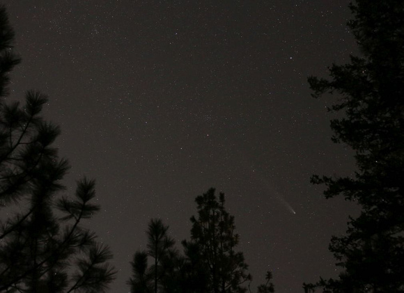 Comet Tsuchinshan-ATLAS October 23/24