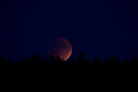 Eclipsed Moon rising (#61)