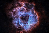 The Rosette Nebula