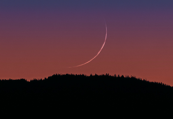 One Day Old Moon