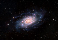 NGC 2403